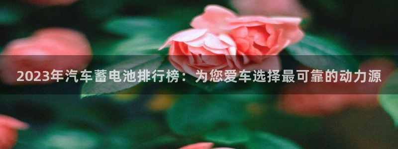优发国际手机版唯一官网下载
