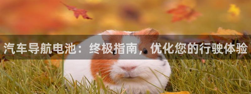 优发国际手机版唯一官网是什么
