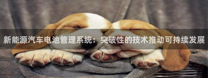 优发国际手机版客户端官网