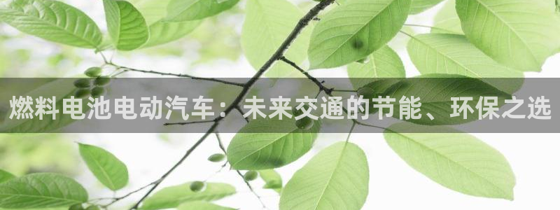 优发国际下载app