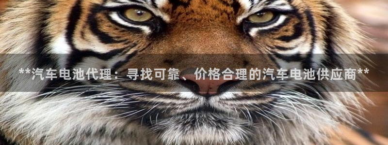 优发国际官网手机版下载苹果