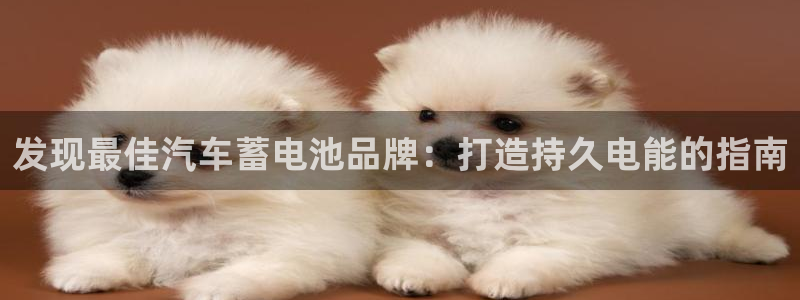 优发国际平台g8