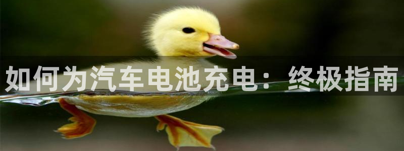 优发国际网官