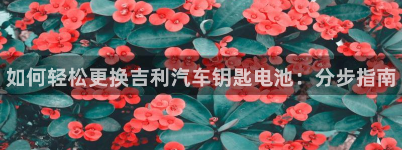 优发国际VIP网址