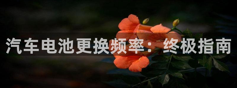 优发国际官网值是多少