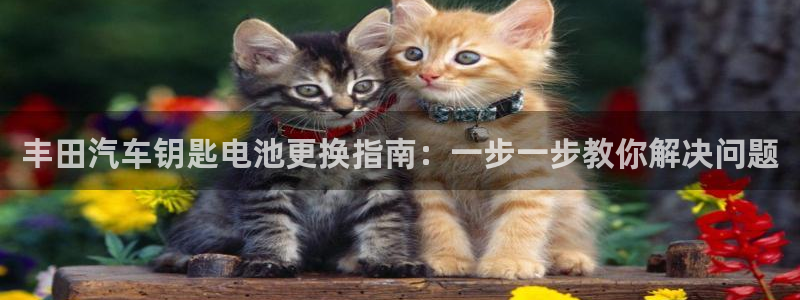 优发国际网官网17k8