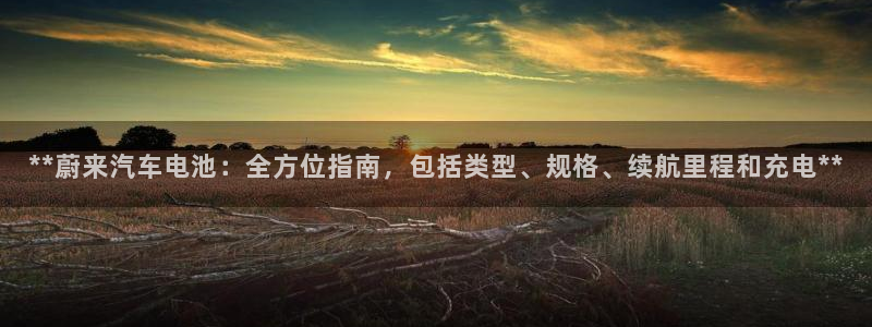 优发国际平台手机版下载官网