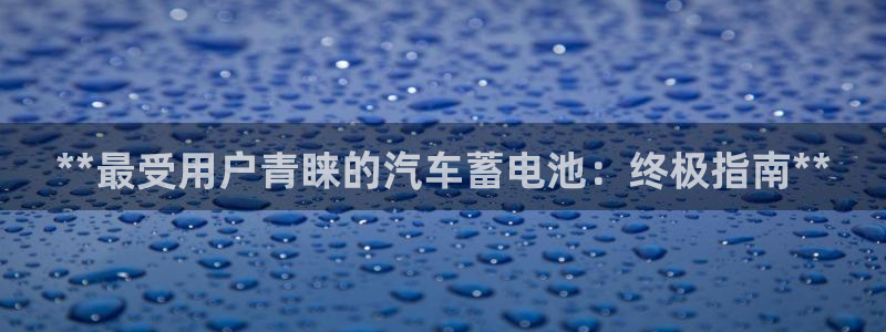 优发国际首页app：**最受用户青睐的汽车蓄电池：终极指南**