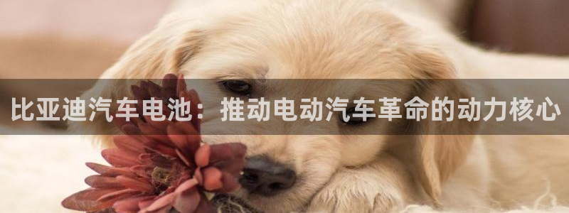 优发国际平台g8怎么样