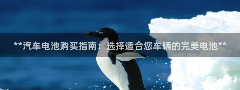优发国际是大平台吗是真的吗：**汽车电池购买指南：选择适合您车辆的完美电池**