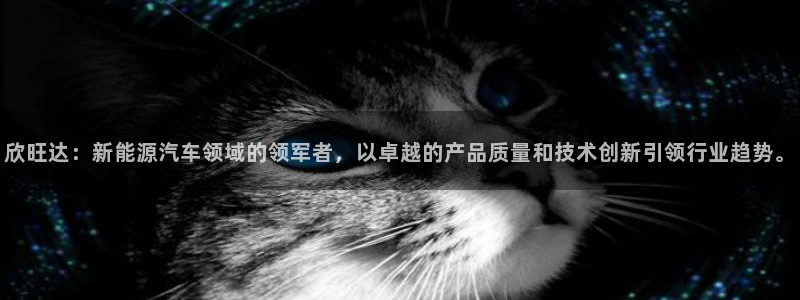 优发国际官网入口app下载苹果