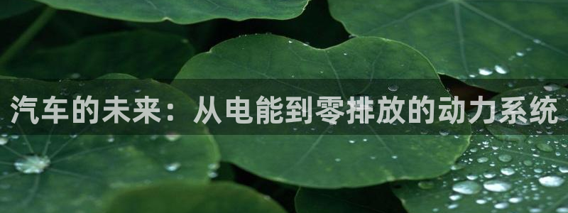 优发国际下载app：汽车的未来：从电能到零排放的动力系统