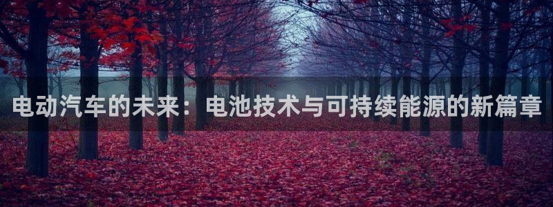 优发国际网官网17w8：电动汽车的未来：电池技术与可持续能源的新篇章