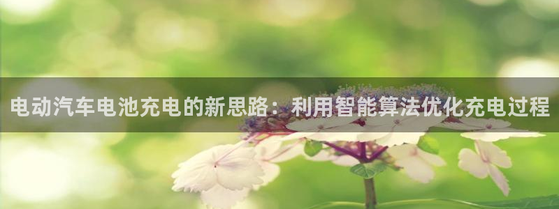 优发国际免费游戏下载：电动汽车电池充电的新思路：利用智能算法优化充电过程