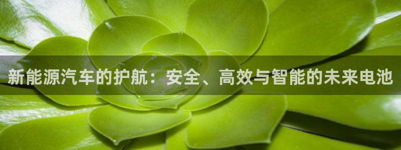 优发国际集团股份有限公司是国企吗