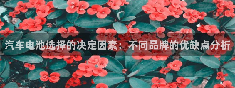 优发国际注册17：汽车电池选择的决定因素：不同品牌的优缺点分析