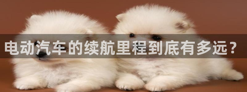 优发国际电话