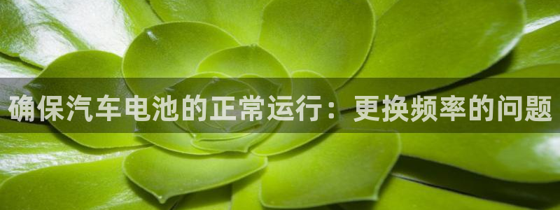 优发国际安卓版下载安装