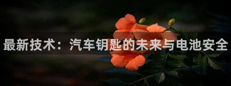 优发国际是大平台吗是真的吗