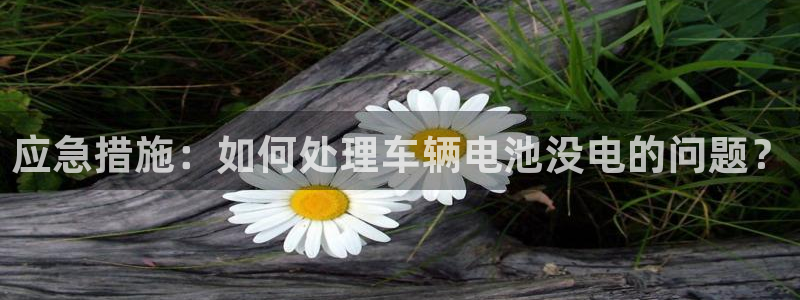 优发国际网官网址是多少：应急措施：如何处理车辆电池没电的问题？