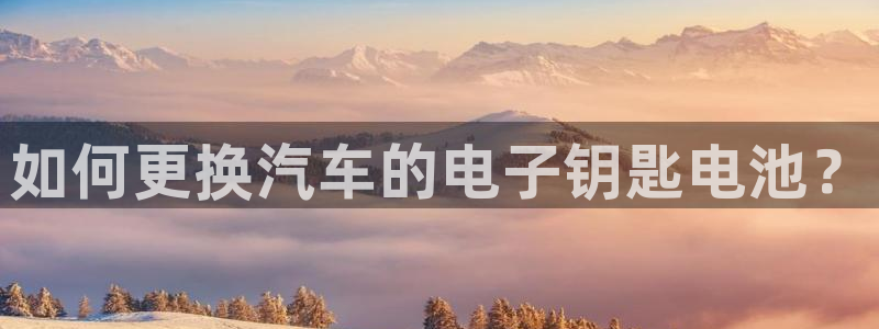 优发国际官网平台：如何更换汽车的电子钥匙电池？