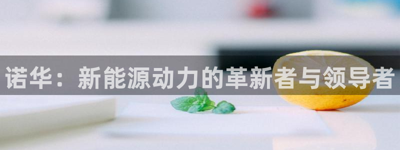 优发国际游戏17岁能玩吗