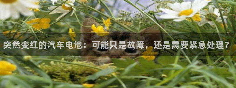 优发国际游戏n：突然变红的汽车电池：可能只是故障，还是需要紧急处理？