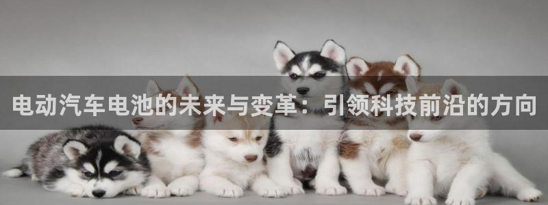 优发国际平台app下载苹果版：电动汽车电池的未来与变革：引领科技前沿的方向