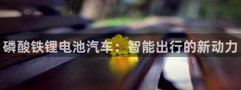 优发国际娱乐官网多少?：磷酸铁锂电池汽车：智能出行的新动力
