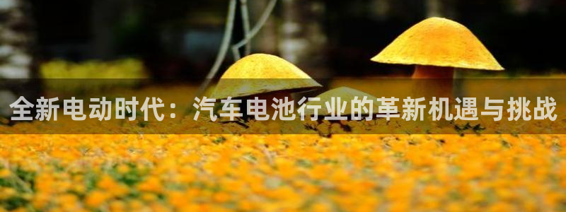 优发国际集团股份有限公司官网：全新电动时