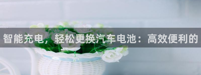 优发国际平台网站：智能充电，轻松更换汽车电池：高效便利的