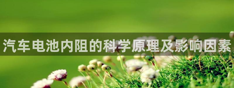 优发国际游戏17岁能玩吗：汽车电池内阻的