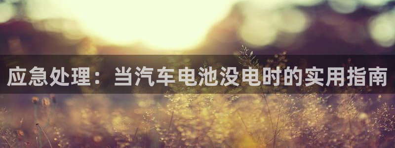优发国际官网下载安装手机版