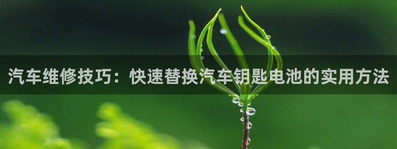 优发国际手机版客户端官网