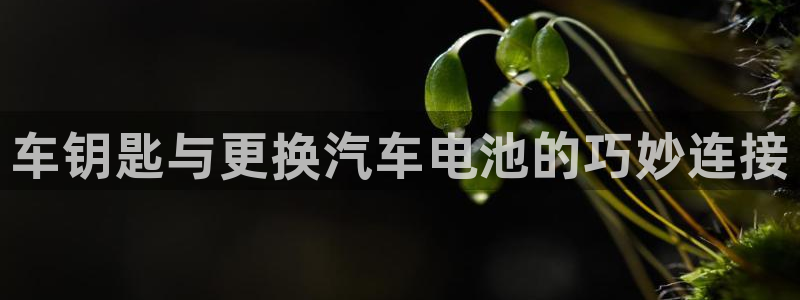 优发国际集团股份有限公司