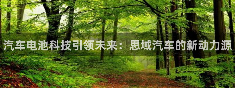 优发国际集团股份有限公司：汽车电池科技引领未来：思域汽车的新动力源