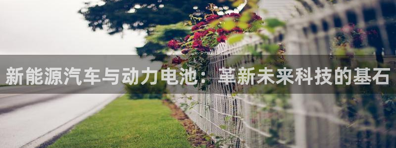 优发国际手机安装登录失败：新能源汽车与动力电池：革新未来科技的基石