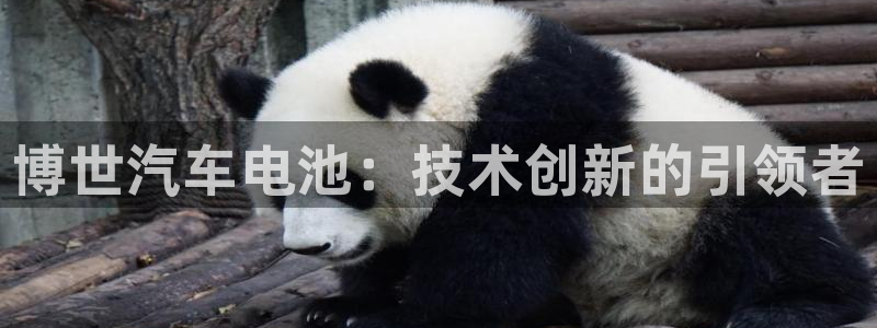 优发国际软件下载官网：博世汽车电池：技术创新的引领者