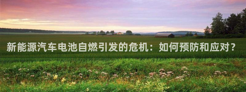 优发国际平台18岁能做吗：新能源汽车电池自燃引发的危机：如何预防和应对？