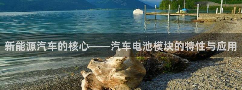 优发国际集团股份有限公司：新能源汽车的核心——汽车电池模块的特性与应用