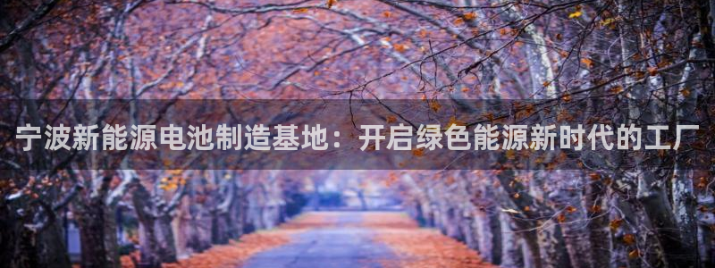 优发娱乐国际线上营业时间：宁波新能源电池制造基地：开启绿色能源新时代的工厂