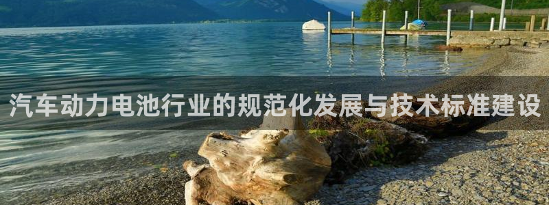 优发国际游戏官方网站入口：汽车动力电池行业的规范化发展与技术标准建设