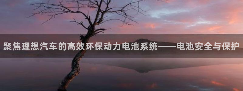 优发国际平台手机版下载官网：聚焦理想汽车的高效环保动力电池系统——电池安全与保护