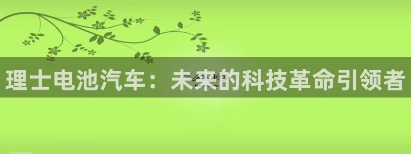 优发国际这个平台怎么样可靠吗：理士电池汽
