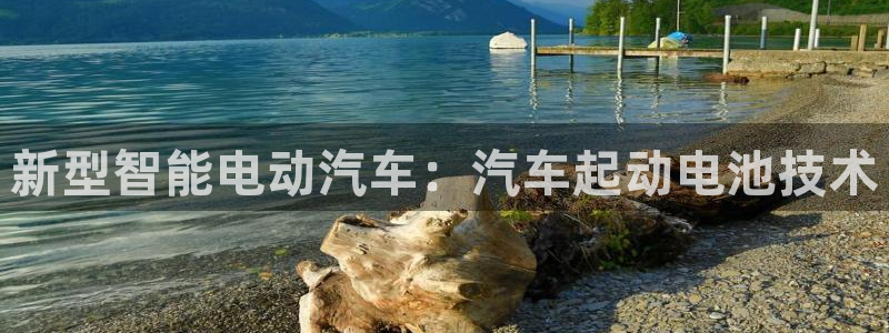 优发国际手机版官网入口：新型智能电动汽车