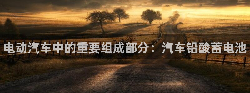 优发国际官网是多少：电动汽车中的重要组成
