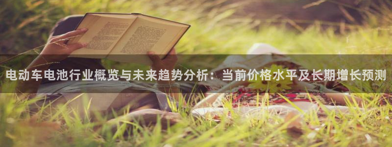 优发国际官方网平台：电动车电池行业概览与