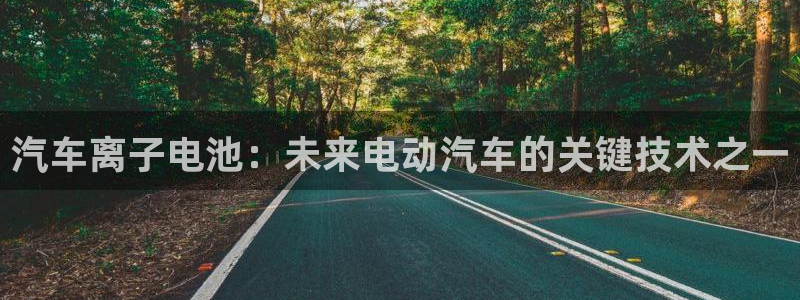 优发国际是合法的吗安全吗：汽车离子电池：未来电动汽车的关键技术之一