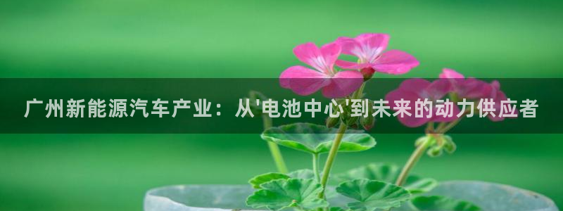 优发国际最新网站下载：广州新能源汽车产业：从\'电池中心\'到未来的动力供应者