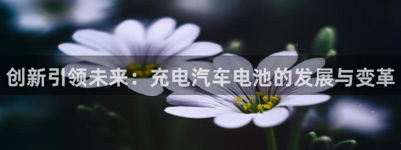 优发国际平台app下载官网